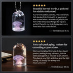 The Oceanic Phantom | Hand-Preserved Real Jellyfish Wet Specimen in Glass Vial