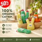 🔥50% OFF Last Day Sale Organic Catnip Plush Cat Toys – 100% Catnip Filled, No Synthetic Cotton Fillers, Soft Cactus Toys Cats Love