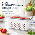 Large Fruit Containers — The Simple Secret To A Cleaner, Fresher Fridge