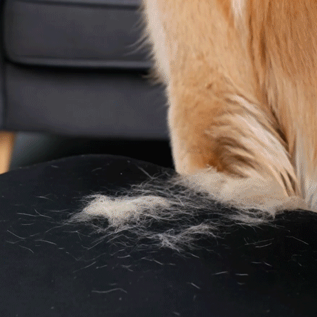 🔥50% OFF Last Day Sale |Pet Detangling Comb, Double-Sided Grooming Brush for Dogs & Cats, One-Click Clean Undercoat Rake for Shedding Mats
