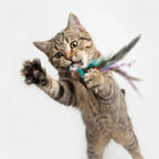 Interactive Suction Cup Flying Bird Cat Toy – 10-in-1 Hands-Free Feather Wand for Indoor Cats