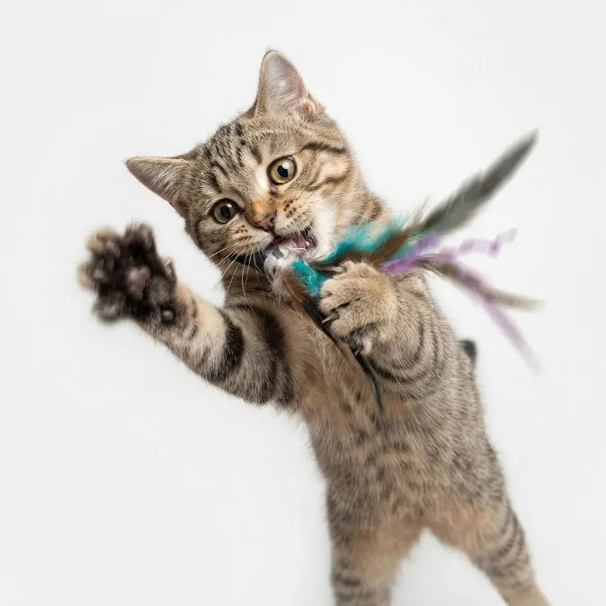 Interactive Suction Cup Flying Bird Cat Toy – 10-in-1 Hands-Free Feather Wand for Indoor Cats