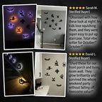 Glow-in-the-Dark Spooky Squeeze Wall Decors & Halloween Sensory Toys Bundle