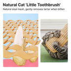 🔥50% OFF Last Day Sale Natural Sisal Catnip Pillow Toy – Washable Scratch & Bite Toy with Removable Catnip Pouch to Help Save Your Sofa