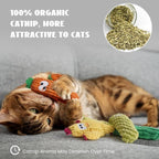🔥50% OFF Last Day Sale Organic Catnip Plush Cat Toys – 100% Catnip Filled, No Synthetic Cotton Fillers, Soft Cactus Toys Cats Love